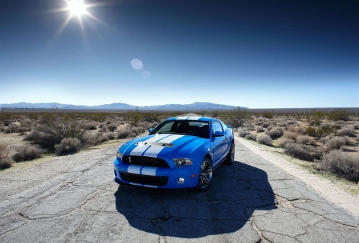 2010-ford-shelby-gt500_8