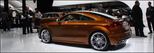 Audi Exclusive Bruin
